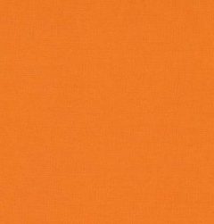 نارنجی حنایی پنتون